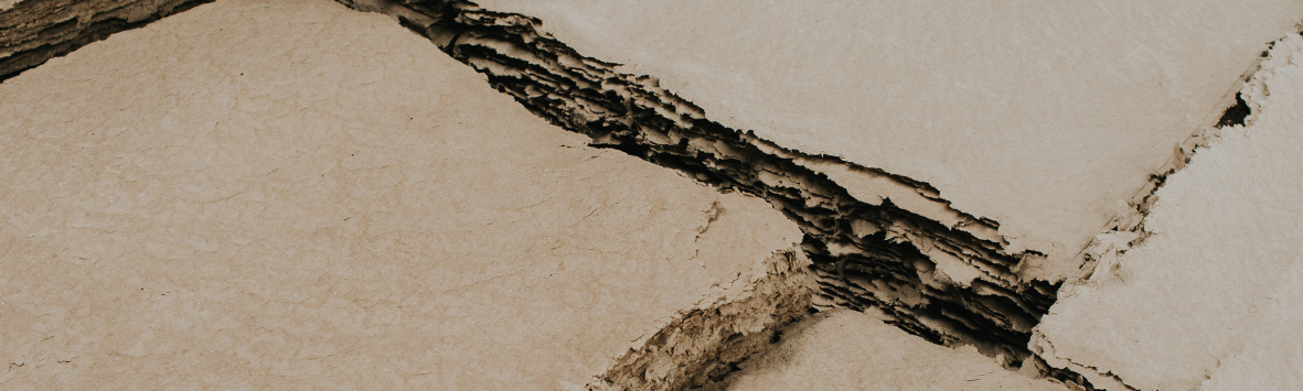 REDUÇÃO DA EXTRAÇÃO VEGETAL E MINERAL.