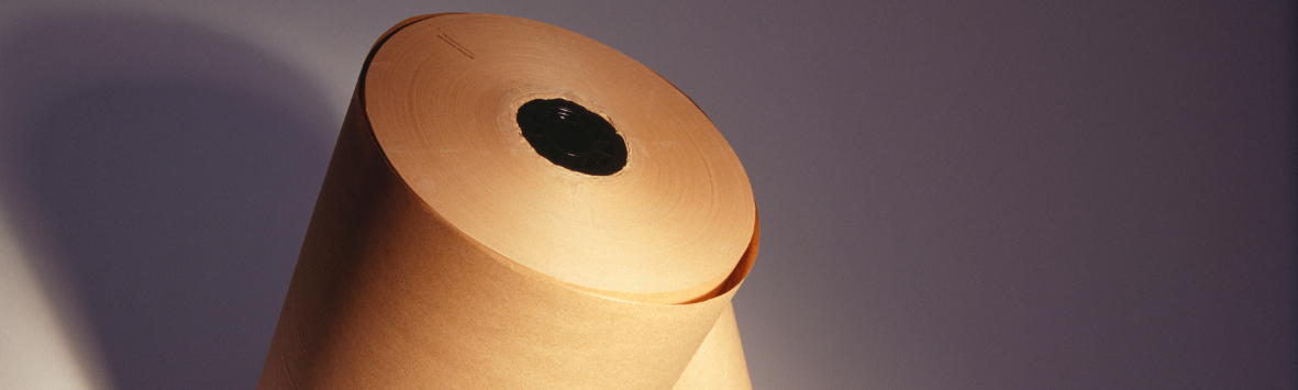 PAPEL PARA EMBALAGEM SUSTENTÁVEL